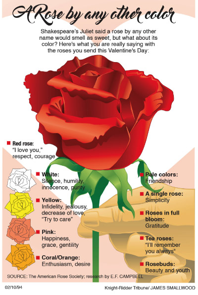 Rose colors infographic for Knight ridder tribune by James Smallwood Art