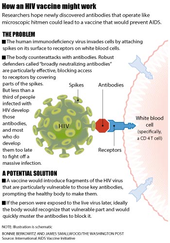 hiv vaccine infographic for the washington post by James Smallwood